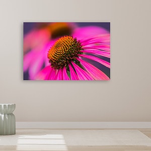 Flower-1