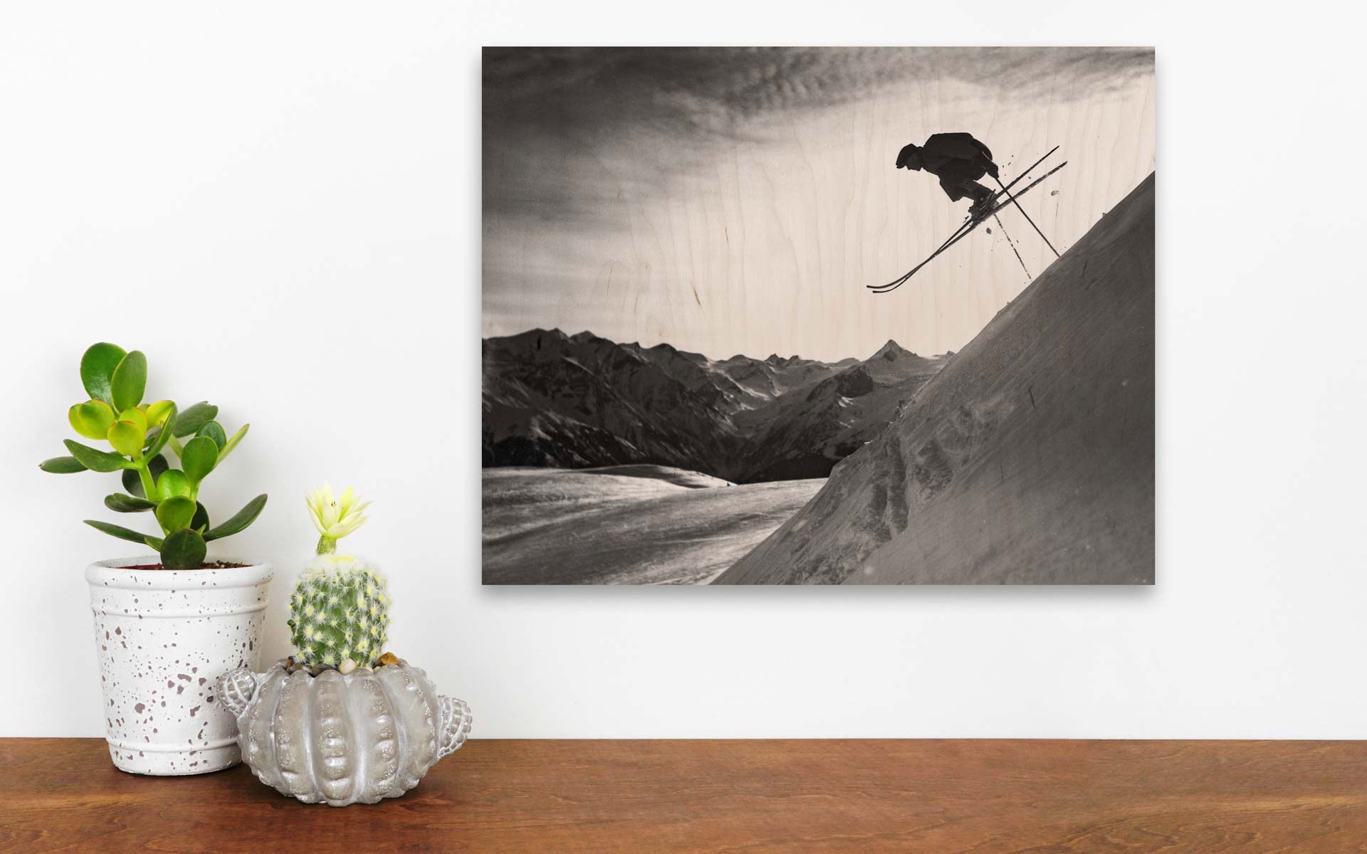 Indoor succulent and cactus plants on a shelf. Wood shelf agains