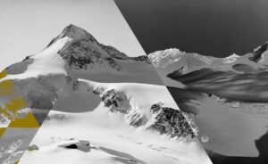 Das Kitz V L Gallery Print